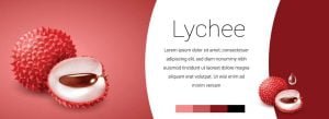 Definition Of Lychee