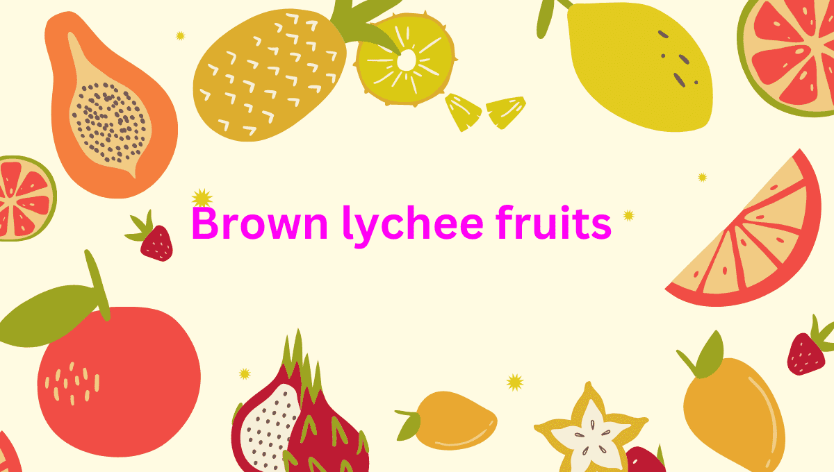 Brown Lychee Fruit