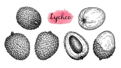 lychee pronounciation