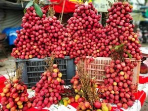 Bunches Of Lychees 