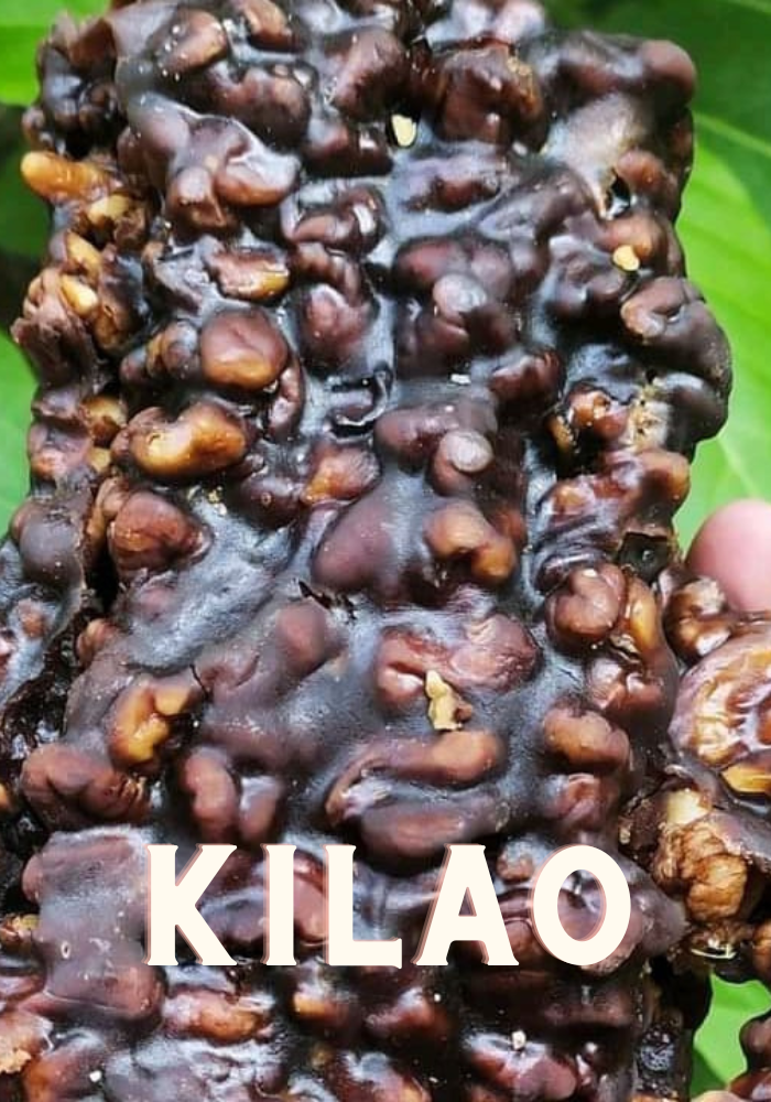 walnut kilao is the king of all dryfruits